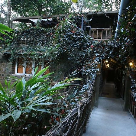 Greenspaces B&B 蒙纳 外观 照片