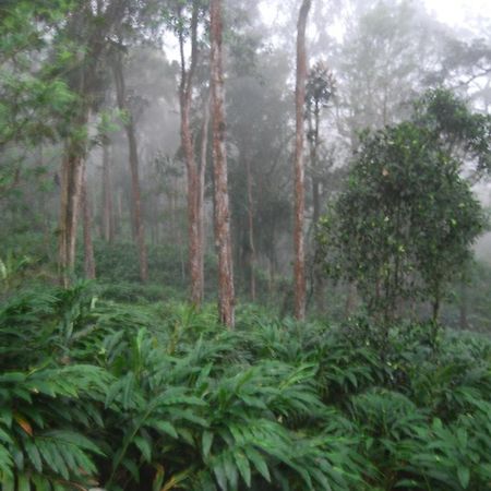 Greenspaces B&B 蒙纳 外观 照片