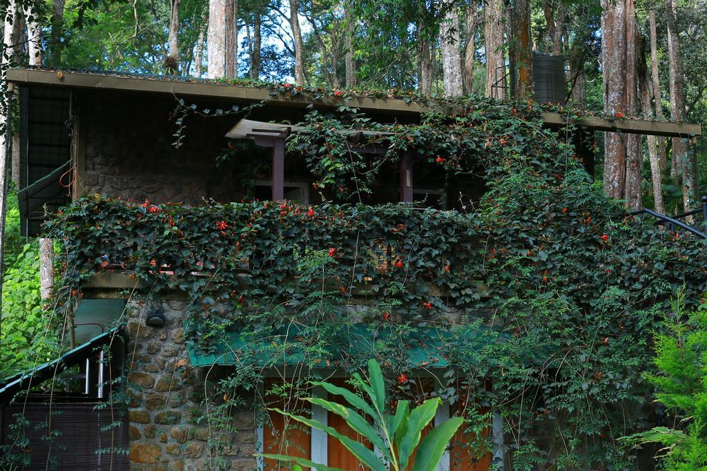 Greenspaces B&B 蒙纳 外观 照片