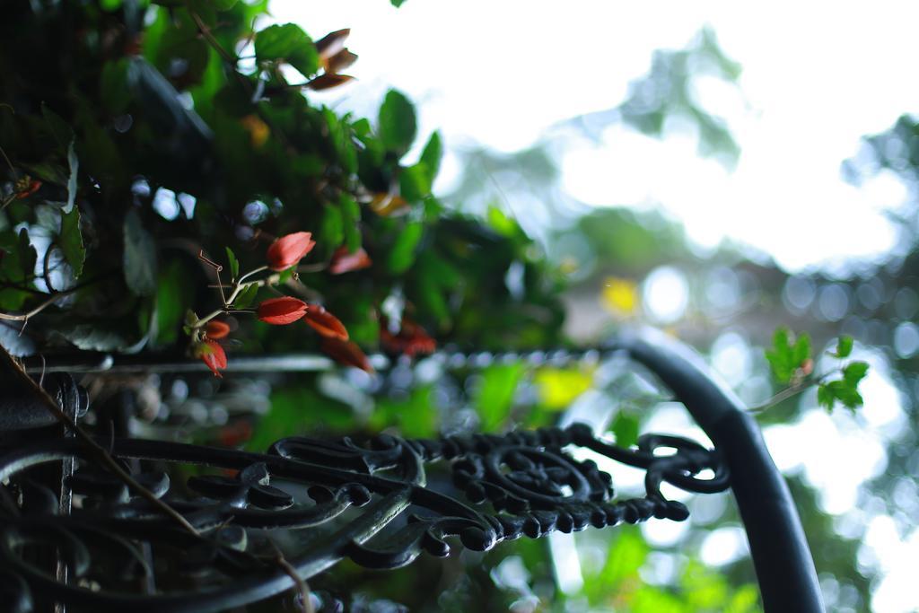 Greenspaces B&B 蒙纳 外观 照片