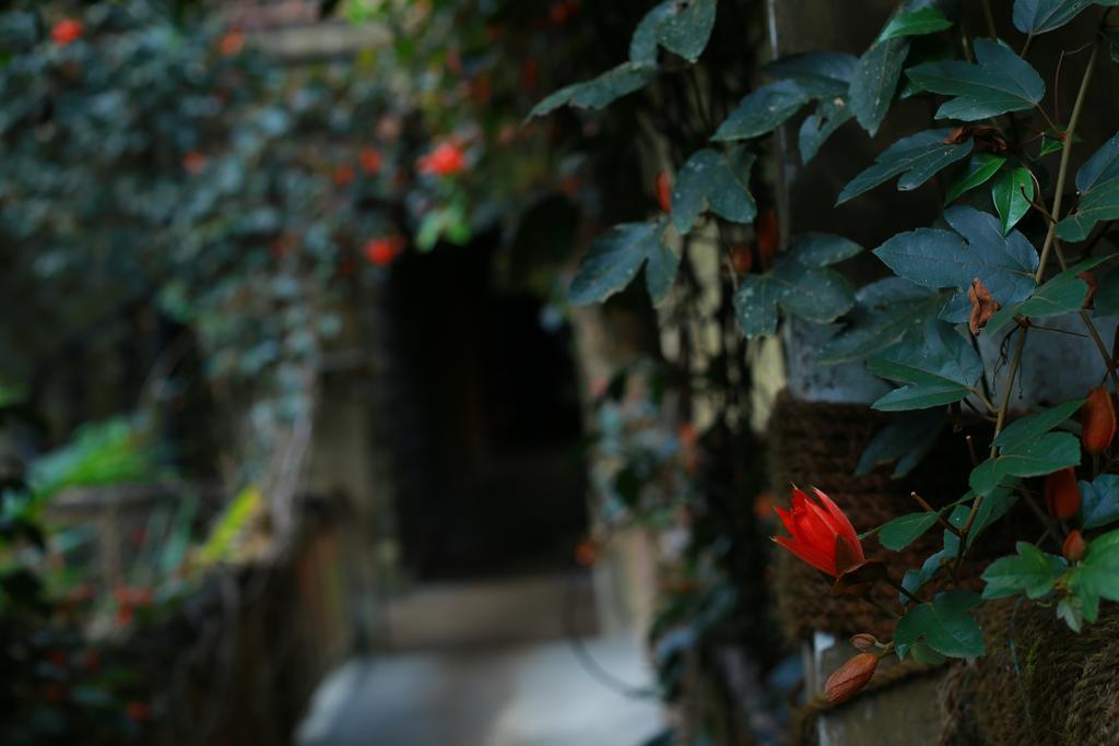 Greenspaces B&B 蒙纳 外观 照片