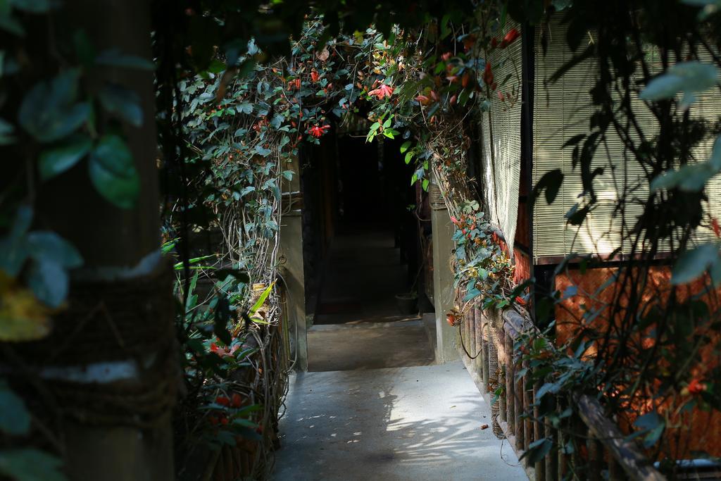 Greenspaces B&B 蒙纳 外观 照片