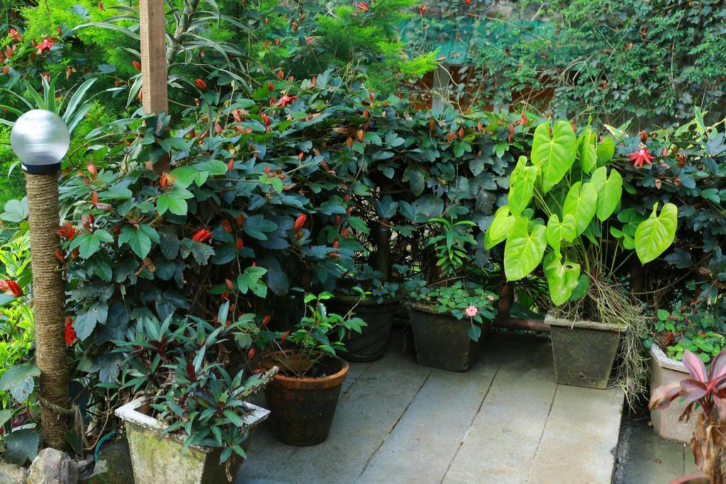 Greenspaces B&B 蒙纳 外观 照片