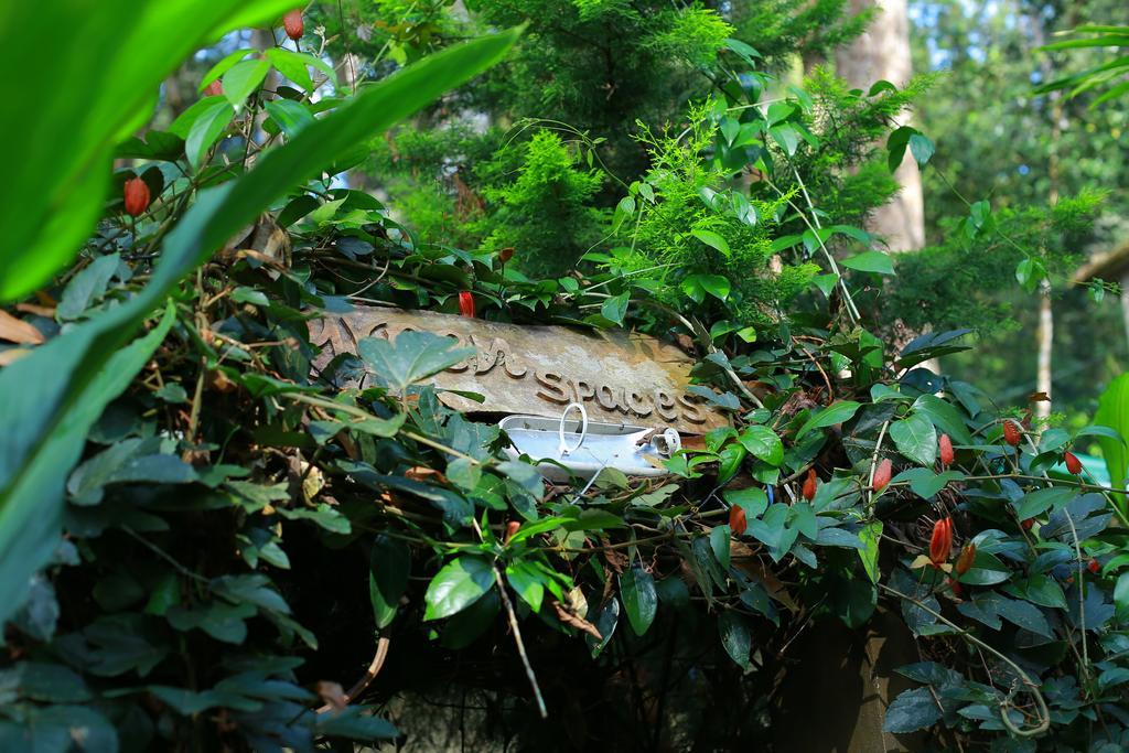 Greenspaces B&B 蒙纳 外观 照片
