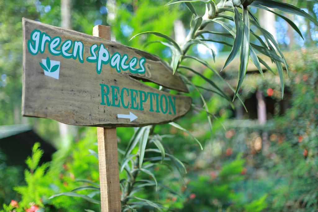 Greenspaces B&B 蒙纳 外观 照片