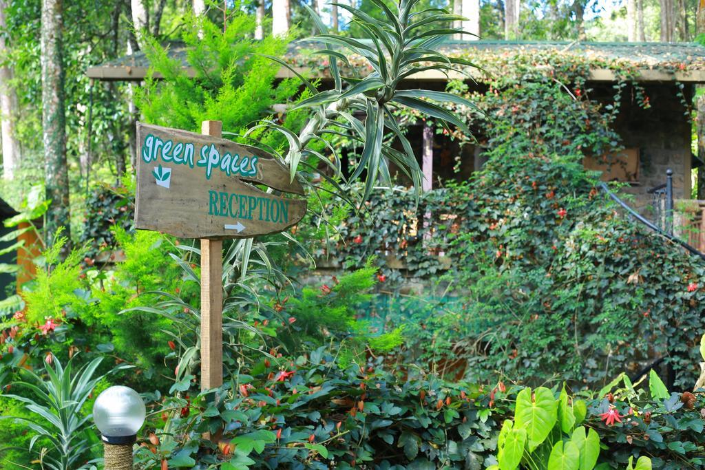 Greenspaces B&B 蒙纳 外观 照片