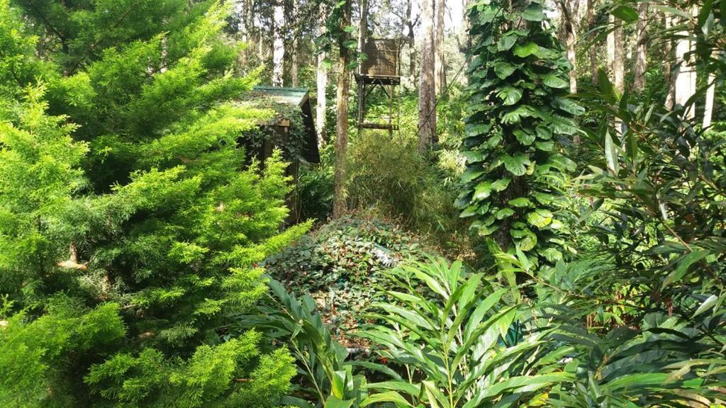 Greenspaces B&B 蒙纳 外观 照片