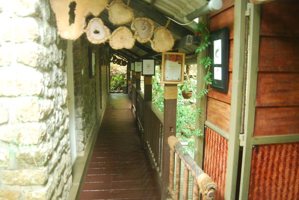 Greenspaces B&B 蒙纳 外观 照片