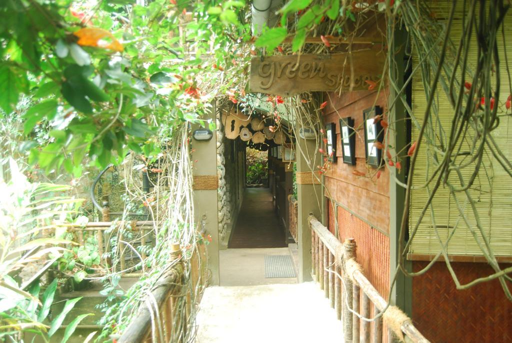 Greenspaces B&B 蒙纳 外观 照片