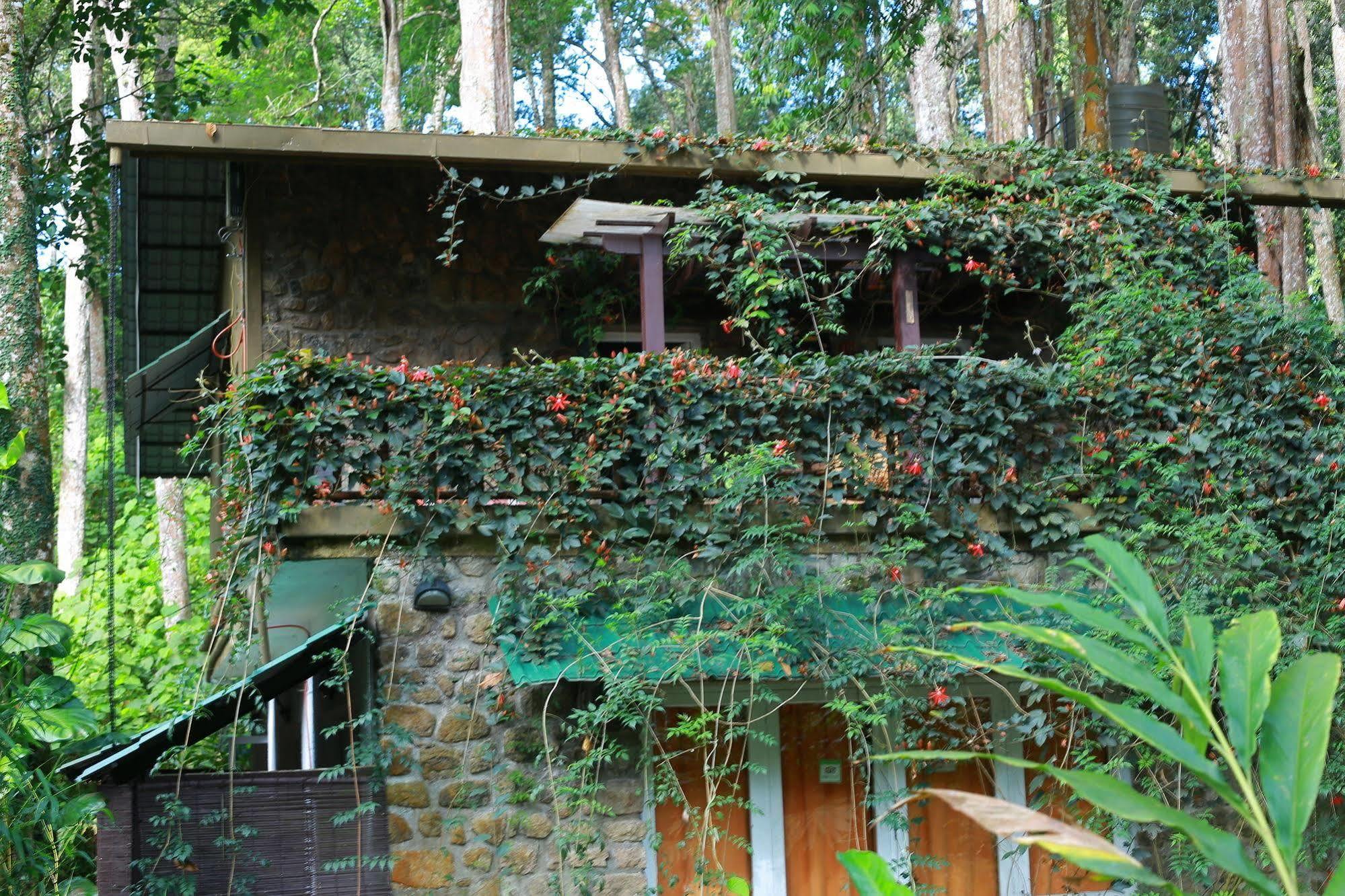 Greenspaces B&B 蒙纳 外观 照片